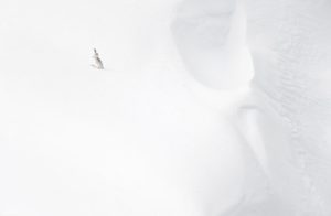 Montier Photo Festival