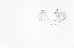 Montier Photo Festival