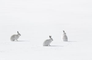 Montier Photo Festival