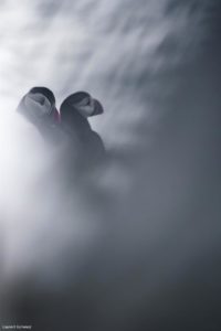 Montier Photo Festival