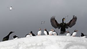 Montier Photo Festival