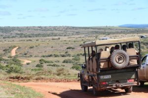 Montier Photo Festival