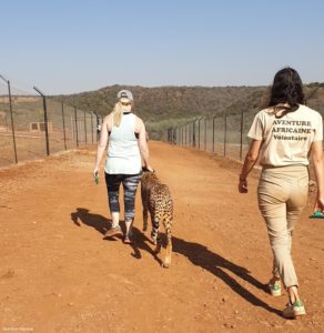 Montier Photo Festival