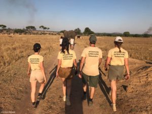 Montier Photo Festival