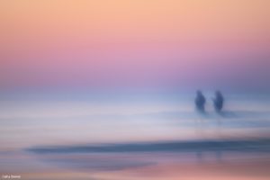 Montier Photo Festival