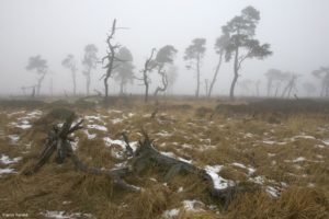 Montier Photo Festival