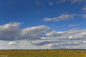 Montier Photo Festival