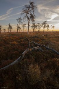 Montier Photo Festival