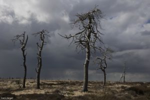 Montier Photo Festival