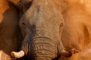 Montier Photo Festival