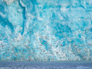 Montier Photo Festival