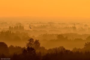 Montier Photo Festival