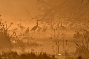 Montier Photo Festival