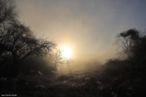 Montier Photo Festival