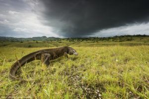 Montier Photo Festival