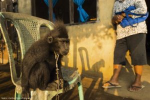 Montier Photo Festival