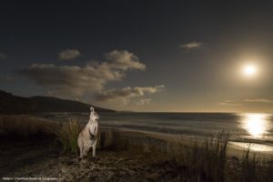 Montier Photo Festival