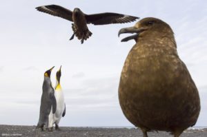 Montier Photo Festival