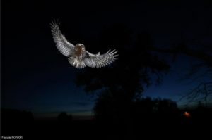 Montier Photo Festival