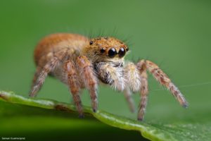 Montier Photo Festival