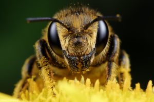 Montier Photo Festival