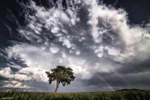 Montier Photo Festival