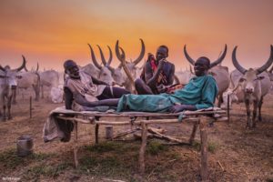 Montier Photo Festival