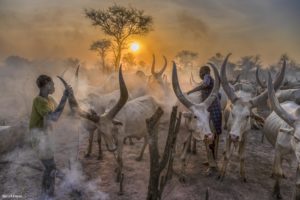 Montier Photo Festival