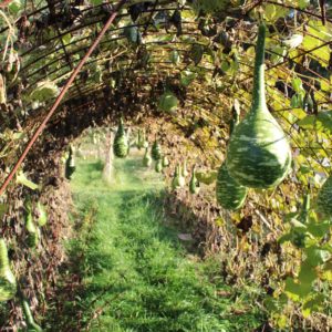 Montier Photo Festival