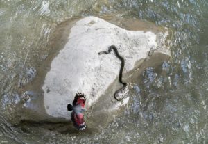 Montier Photo Festival