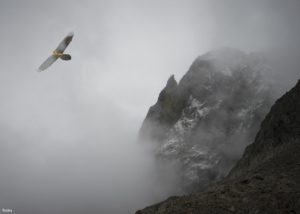 Montier Photo Festival