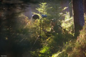 Montier Photo Festival