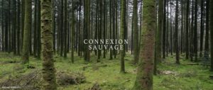 Extrait 1 - Connexion Sauvage - Vincent RANNOU
