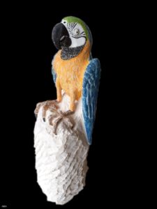 Montier Photo Festival
