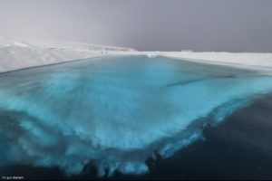 Un pur diamant - Un pur diamant