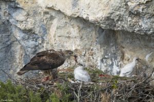 Montier Photo Festival