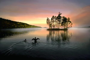Montier Photo Festival