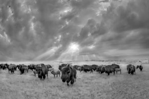 Montier Photo Festival