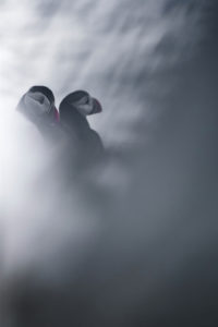 Montier Photo Festival