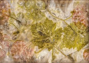 Vigne rouge 11B - Gerard BLONDEAU/Sylvie CANCIANI