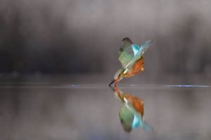 Un Baiser - MARIN Annick