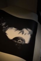 tirage impression jet d'encre - à notre image