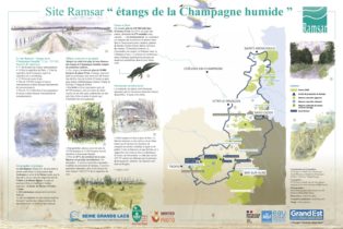 Ramsar Etangs de la Champagne humide 1 - S. Hette, P Bourguignon et J. Chevallier