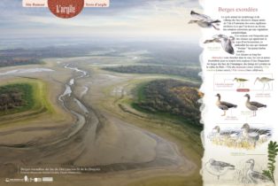 Ramsar Etangs de la Champagne humide 3 - S. Hette, P Bourguignon et J. Chevallier
