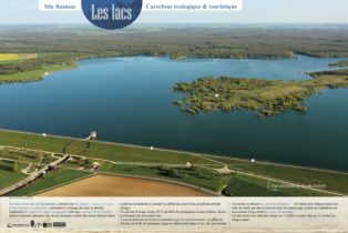 Ramsar Etangs de la Champagne humide 5 - S. Hette, P Bourguignon et J. Chevallier