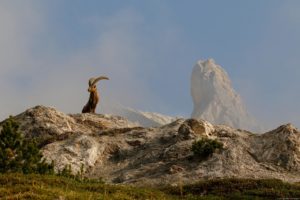 Montier Photo Festival