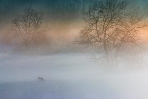 Montier Photo Festival