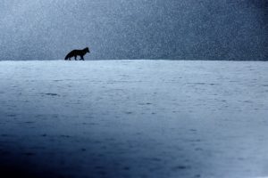 Montier Photo Festival
