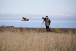 Montier Photo Festival