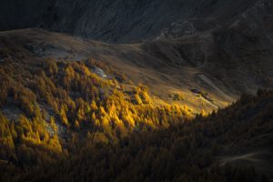 Montier Photo Festival